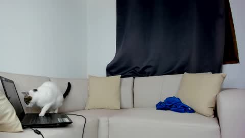 mattdevon7 online show from April 22, 3:24 am