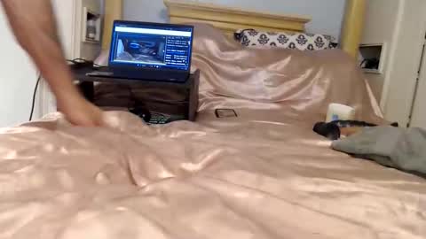 Mavrixpage online show from March 1, 12:53 pm