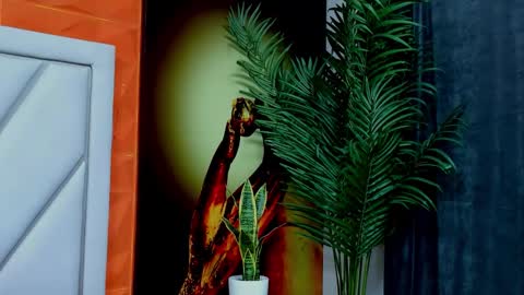 Alex online show from February 17, 11:31 am