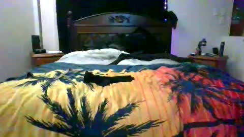 Max online show from March 15, 1:47 pm