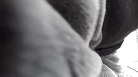 Meatmallet online show from February 13, 3:43 am