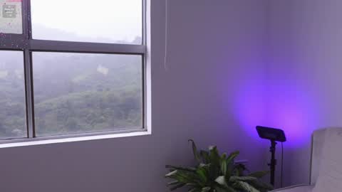 meiis3 online show from January 9, 9:05 pm