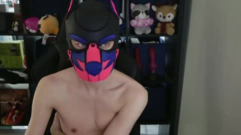 MellPUP online show from April 9, 9:31 pm