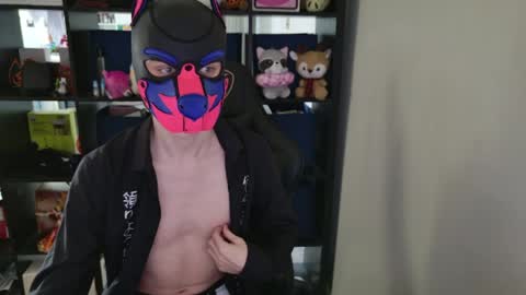 MellPUP online show from April 1, 4:26 pm