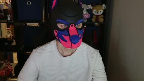 MellPUP online show from April 20, 12:08 pm