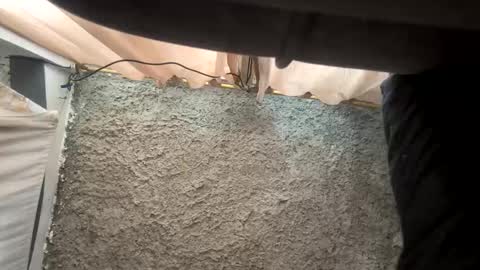 melodysnow online show from January 16, 6:17 pm