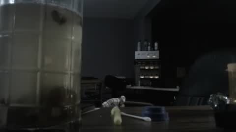 I am usually high and horny...lol online show from October 21, 12:49 am