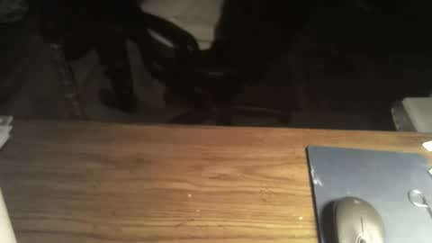 I am usually high and horny...lol online show from February 2, 2:42 am