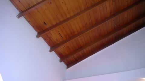 Merlia online show from April 4, 3:30 pm