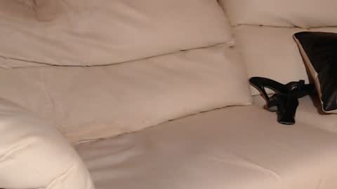 Jenny online show from November 29, 12:46 pm