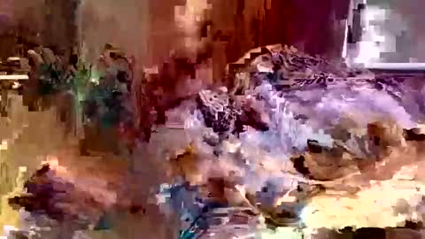 mesta899 online show from December 24, 12:11 am