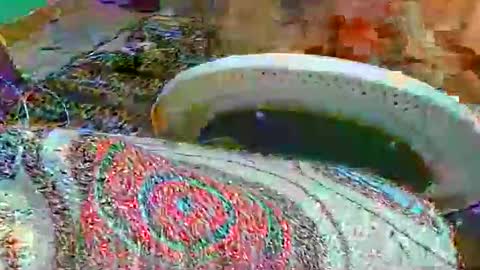 miagomezx online show from February 17, 4:44 am