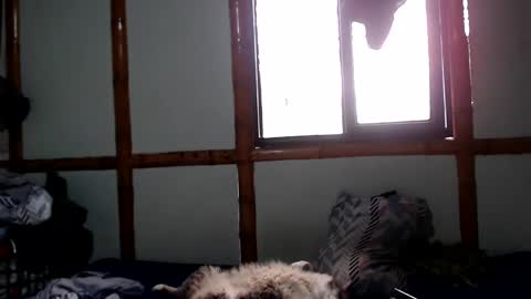 Snapshot of miahells chatting on October 4, 4:05 pm Mia  Sam online show from October 4, 4:05 pm