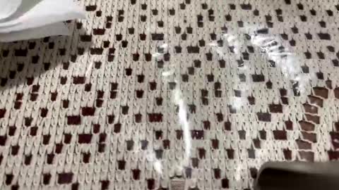 miamorr_ online show from November 5, 4:14 am