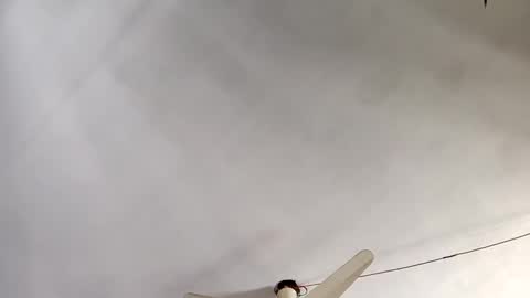 mian7 online show from December 22, 8:27 am