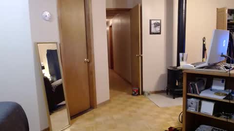 Michelle online show from November 10, 11:13 am