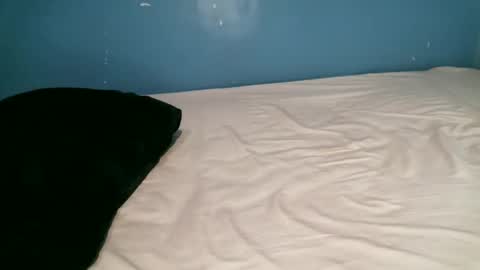 Caddy online show from November 17, 4:42 pm