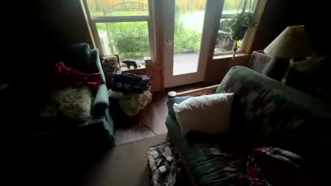 miguel_615 online show from July 9, 6:50 am