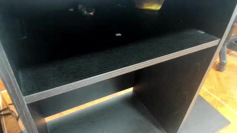 Mia online show from February 24, 11:10 am