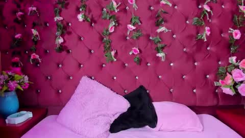 Milly Print online show from April 23, 3:03 am