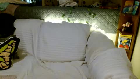 Mindy online show from February 22, 11:35 am