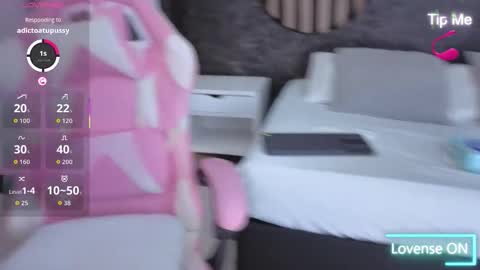 Antonella online show from November 21, 12:14 pm