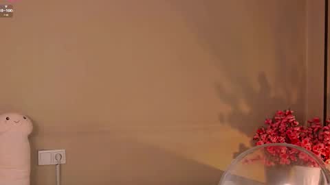 Nicole online show from April 24, 11:29 pm