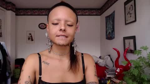 Anarkitten  online show from February 21, 7:10 pm