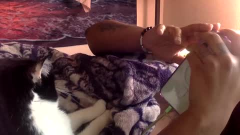 Snapshot of mistressmystii chatting on February 18, 8:47 pm Mistress Mystii online show from February 18, 8:47 pm