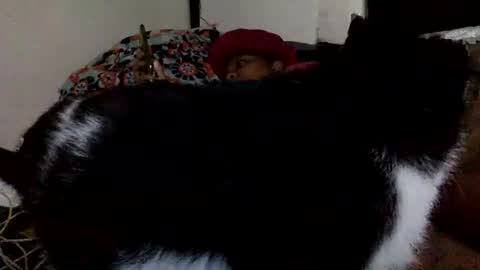 Mistress Mystii online show from November 25, 7:18 am