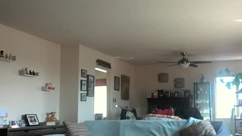 Monkee Dance online show from March 3, 10:10 pm