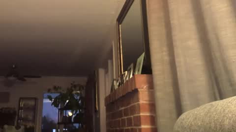 Monkee Dance online show from February 22, 2:17 am