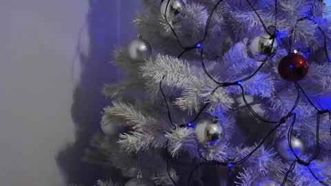   Mona   online show from December 8, 6:54 am