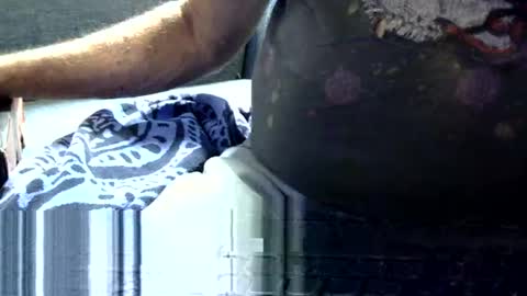 mphmsg7 online show from June 3, 4:23 pm