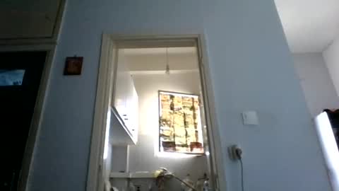 mppempis81 online show from March 8, 6:06 am