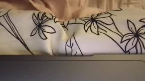 Snapshot of mrjackryan81 chatting on October 15, 7:10 am mrjackryan81 online show from October 15, 7:10 am