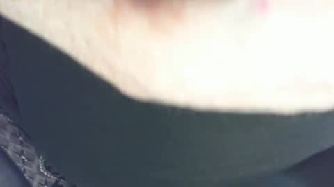 mojo online show from February 1, 9:56 pm