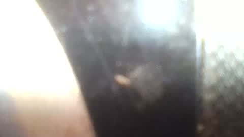 Mrs Venus online show from January 30, 2:36 pm