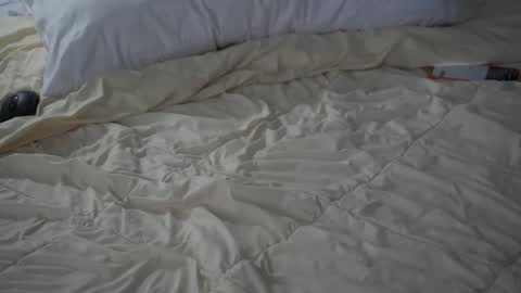 mstfptlr online show from March 1, 7:07 pm