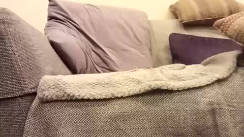 mtx9889 online show from November 18, 12:02 am