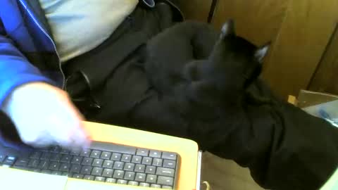 muller520 online show from March 2, 11:39 am