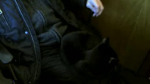 muller520 online show from January 16, 7:34 pm