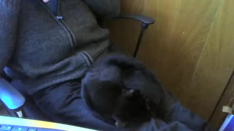 muller520 online show from April 13, 3:49 pm