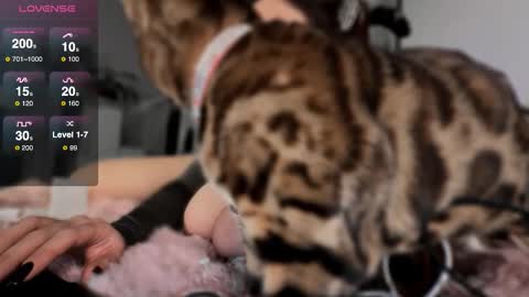 Phoenix online show from December 23, 7:14 am