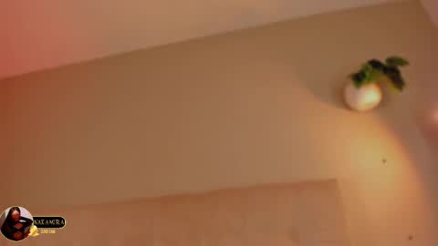 INSTAGRAM  m2221     online show from April 1, 1:41 pm