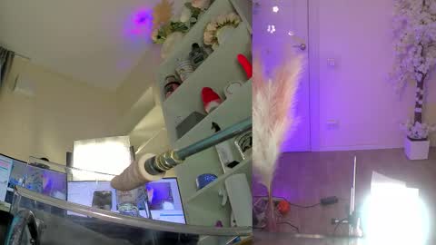 INSTAGRAM     bekkercat  online show from February 3, 9:02 am