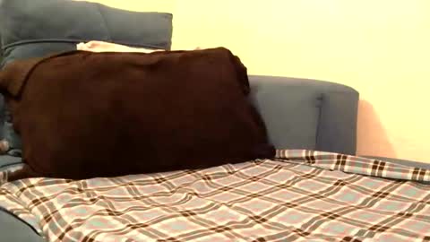 Bella online show from April 6, 6:09 pm