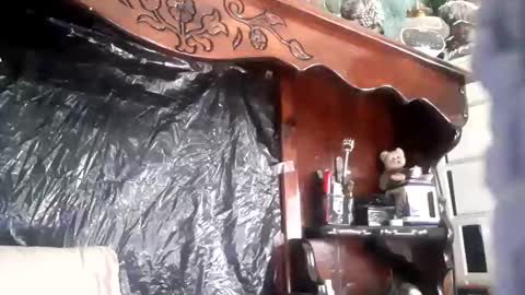 nastysubs69 online show from April 21, 2:46 pm