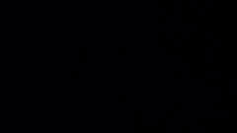 Haven online show from February 9, 5:38 pm