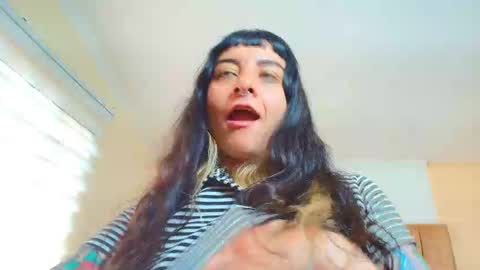 Kitten online show from December 3, 4:07 pm